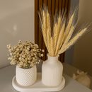 Kit 3 peças decorativas de gesso com bandeja e vasos - House Prime