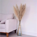 Kit com 10 Plumas Naturais | Capim dos Pampas Elegante - House Prime Brasil