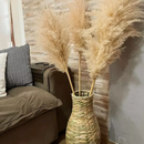 Kit com 10 Plumas Naturais | Capim dos Pampas Elegante - House Prime Brasil