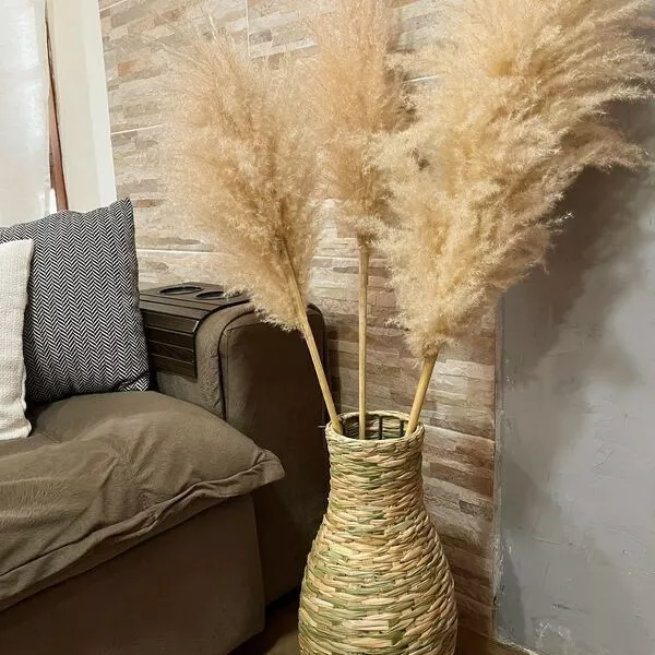 Kit com 10 Plumas Naturais | Capim dos Pampas Elegante - House Prime Brasil
